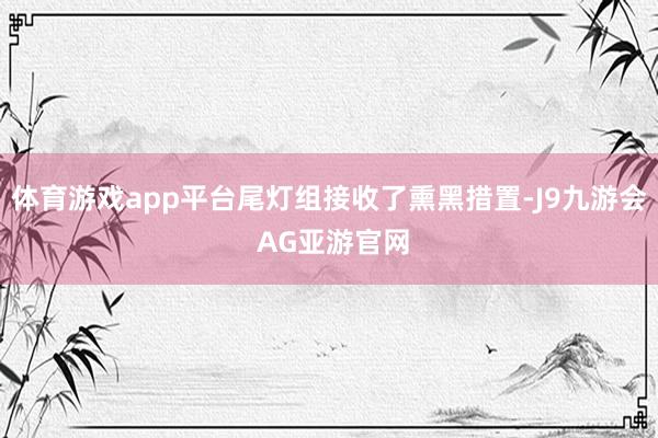 体育游戏app平台尾灯组接收了熏黑措置-J9九游会 AG亚游官网