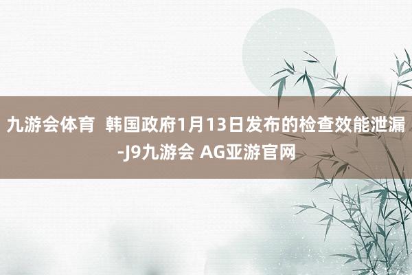 九游会体育  韩国政府1月13日发布的检查效能泄漏-J9九游会 AG亚游官网